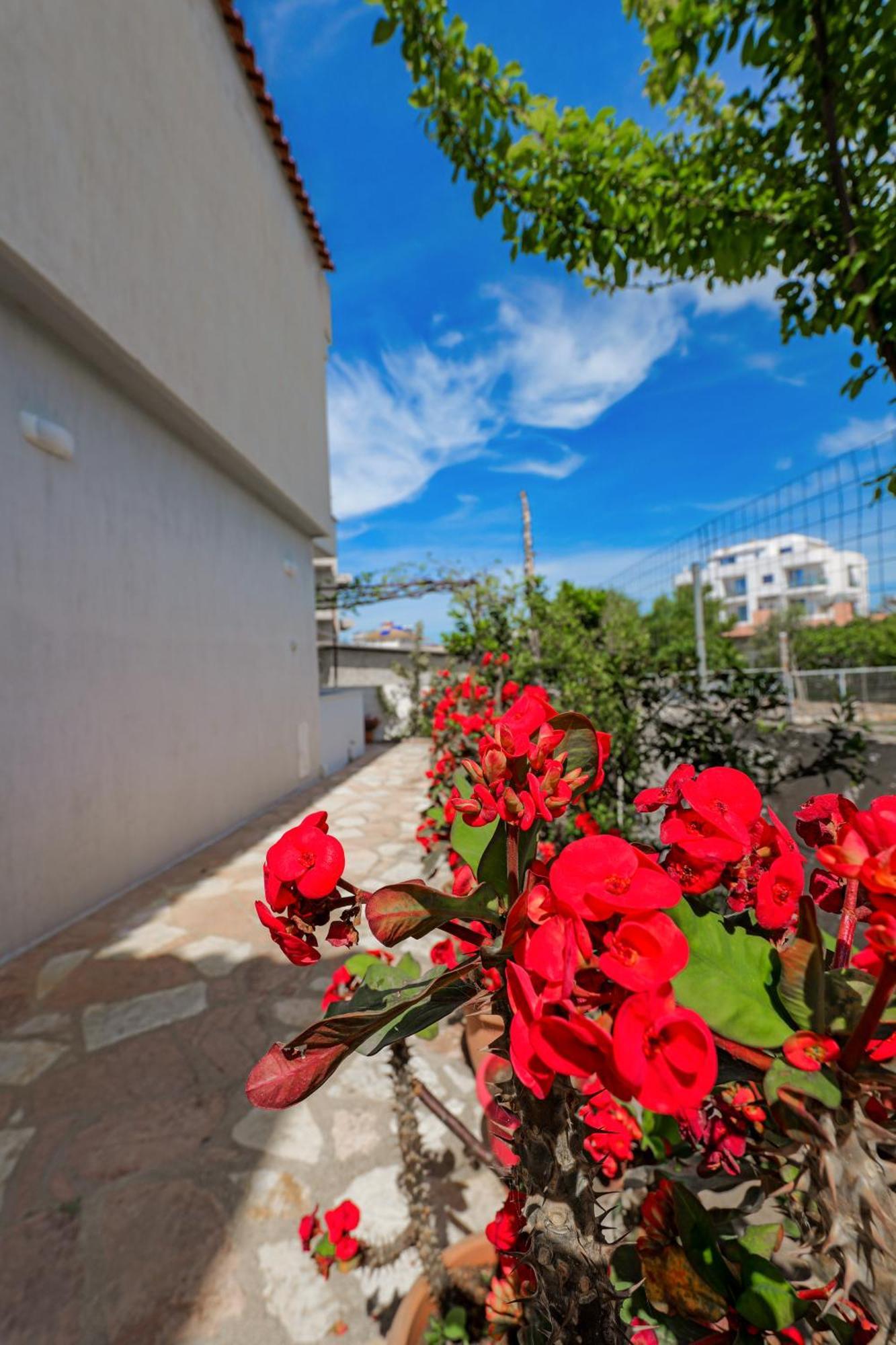 Guest House Moonlight Ksamil Ngoại thất bức ảnh